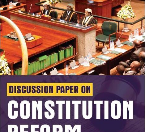 Discussion Paper-Constitution Reform